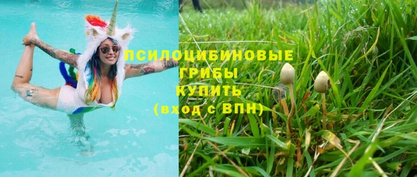 ALPHA PVP Мегион