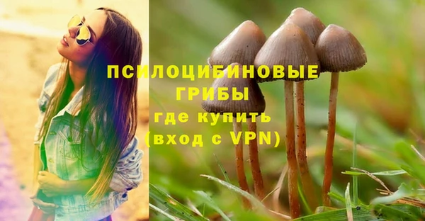 гидропоника Арсеньев